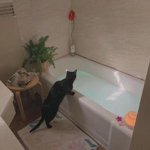 性感熟妇穿三角裤好吗视频
